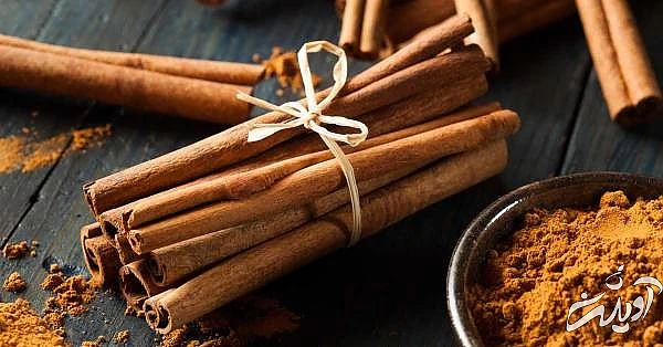 فواید دارچین برای برجسته کردن لبها پروتز لب با دارچین